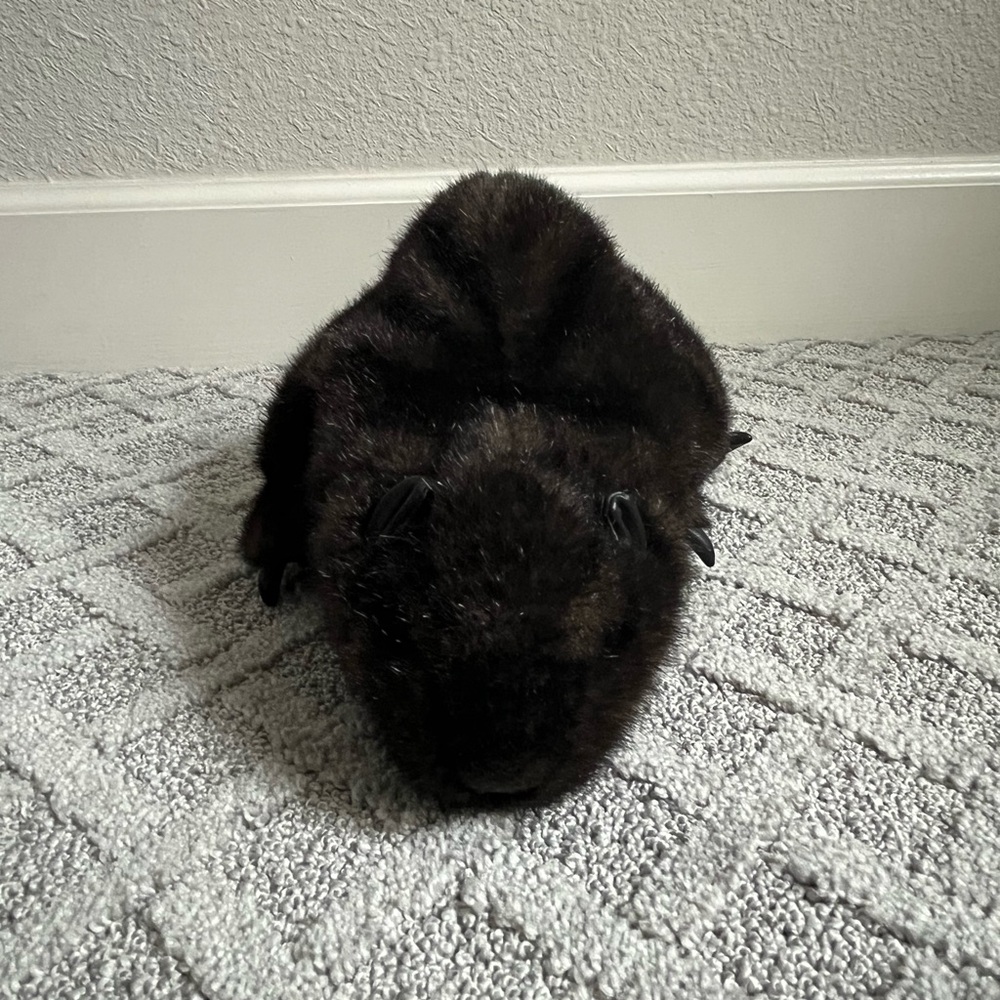 Folkmanis Beaver Hand Puppet